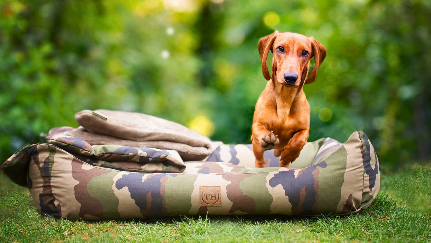 Orthopädische Hundebetten