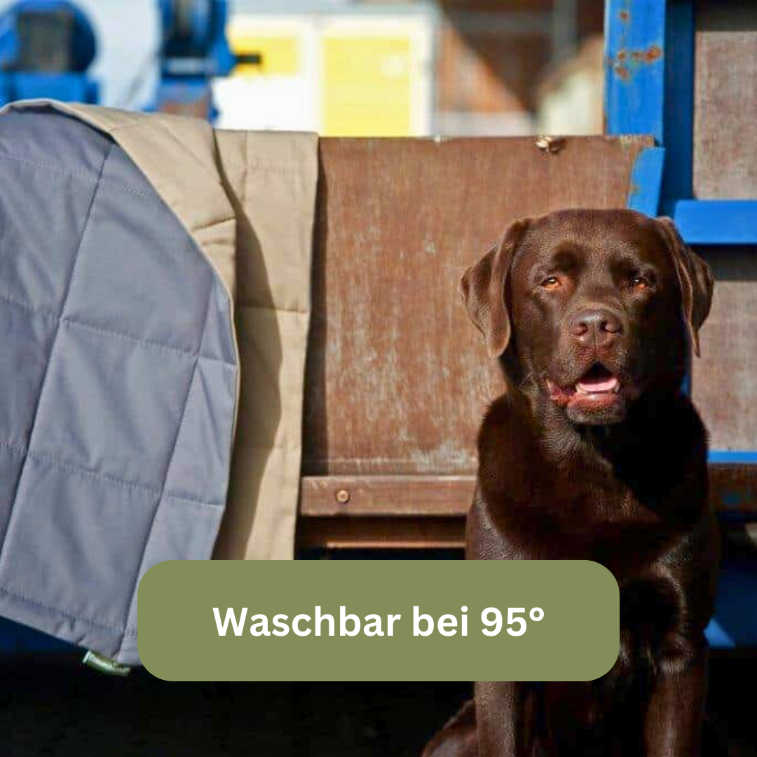 Bettenhaus Traumhund Hundedecken Organic 95