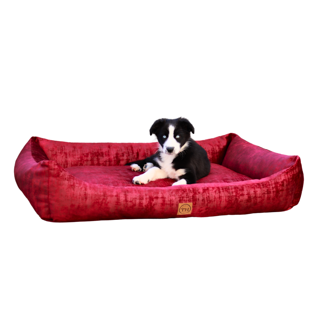Orthopädisches Hundebett - Vintage-Samt