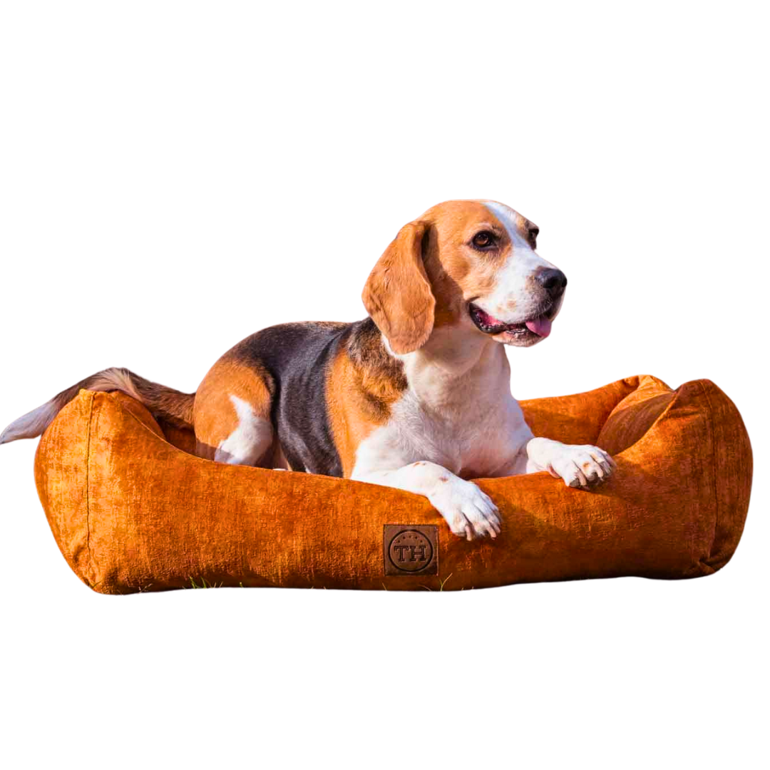 Orthopädisches Hundebett - Vintage-Samt