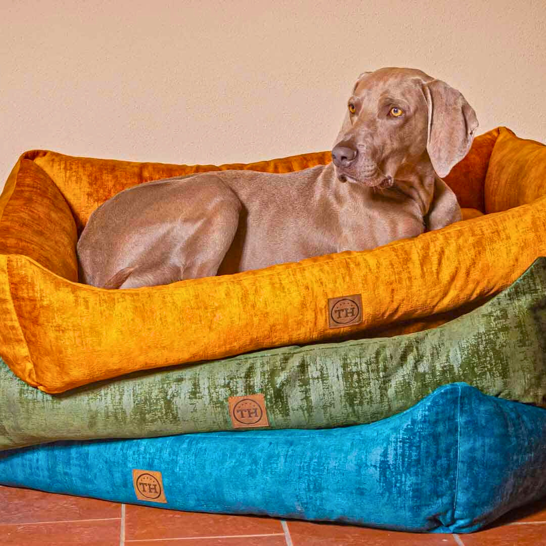 Orthopädisches Hundebett - Vintage-Samt
