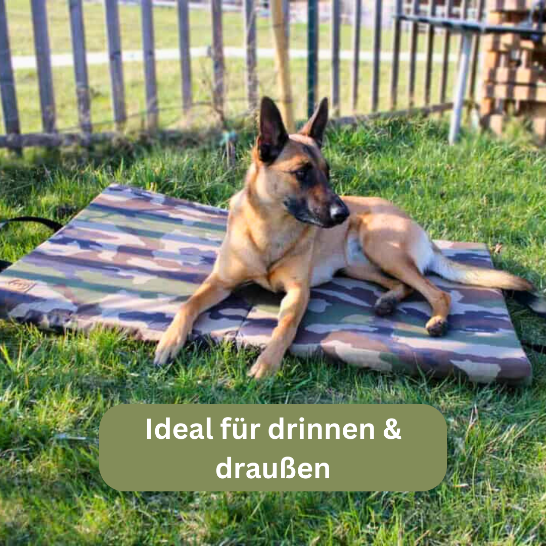 Bettenhaus Traumhund Orthopädische Hundematten Travel Kollektion Traveller-Matte Adventure