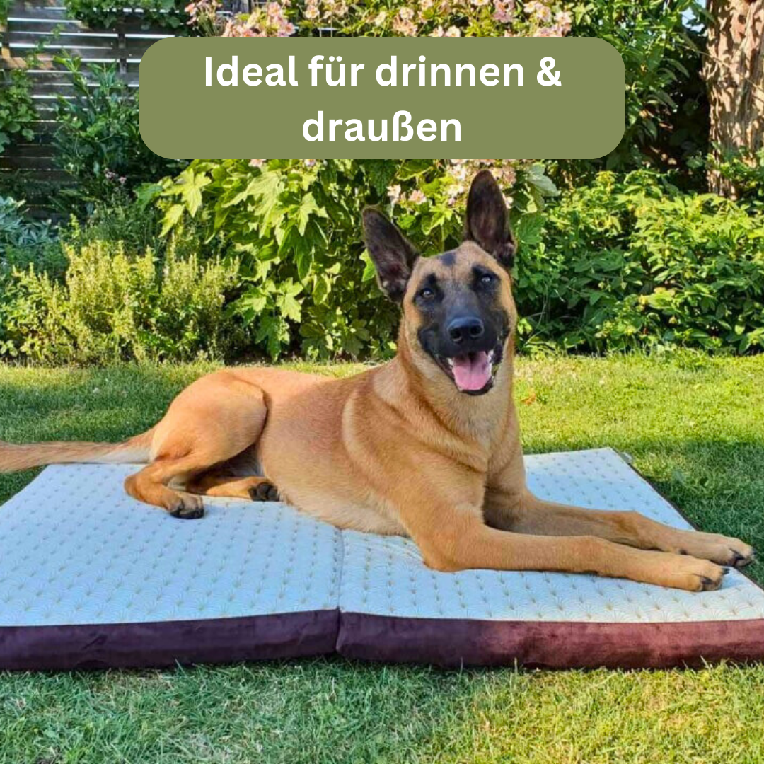 Bettenhaus Traumhund Orthopädische Hundematten Travel Kollektion Traveller-Matte Braun-Minze