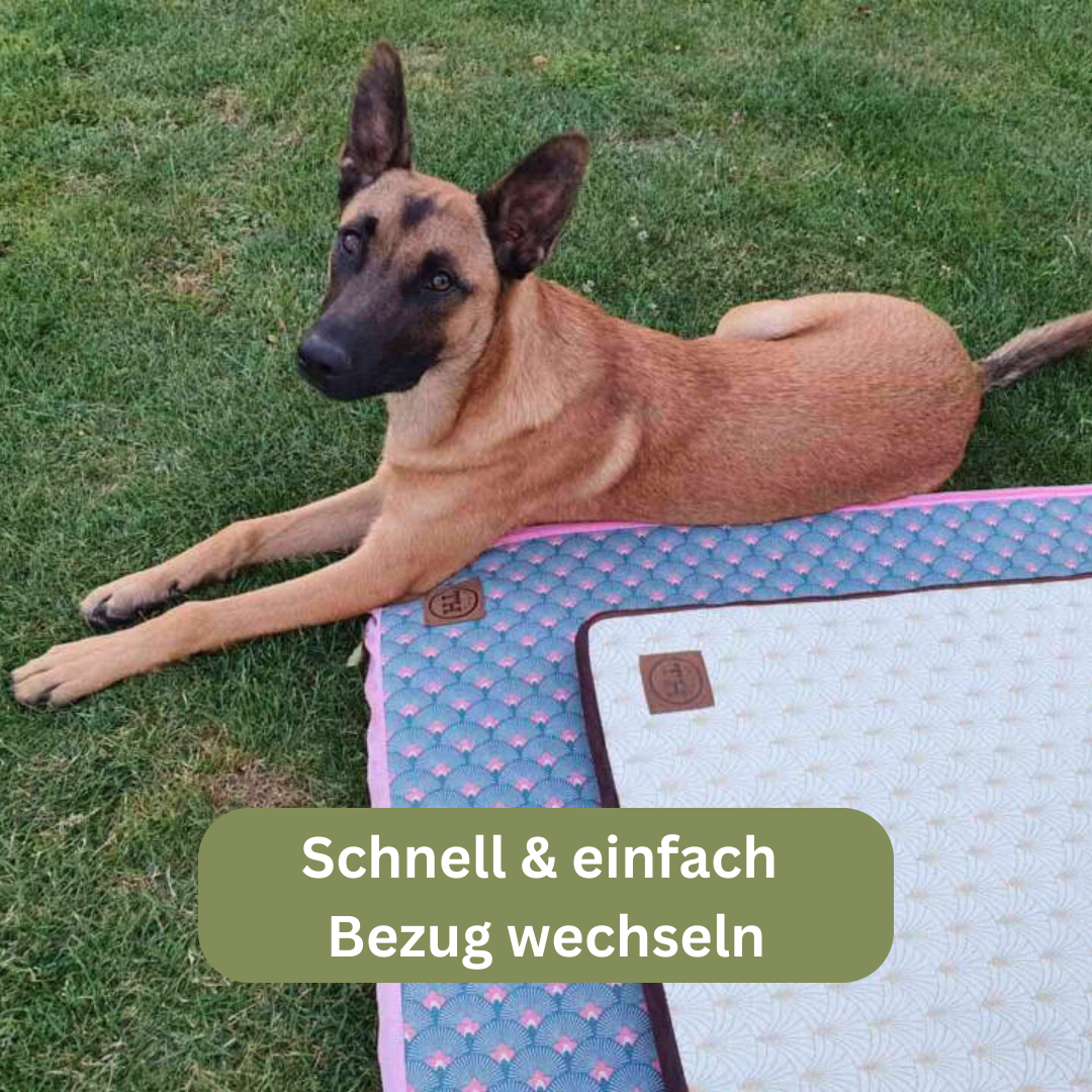 Bettenhaus Traumhund Orthopädische Hundematten Travel Kollektion Traveller-Matte Braun-Minze