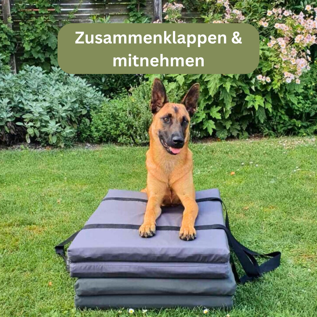 Bettenhaus Traumhund Orthopädische Hundematten Travel Kollektion Traveller-Matte Graphit