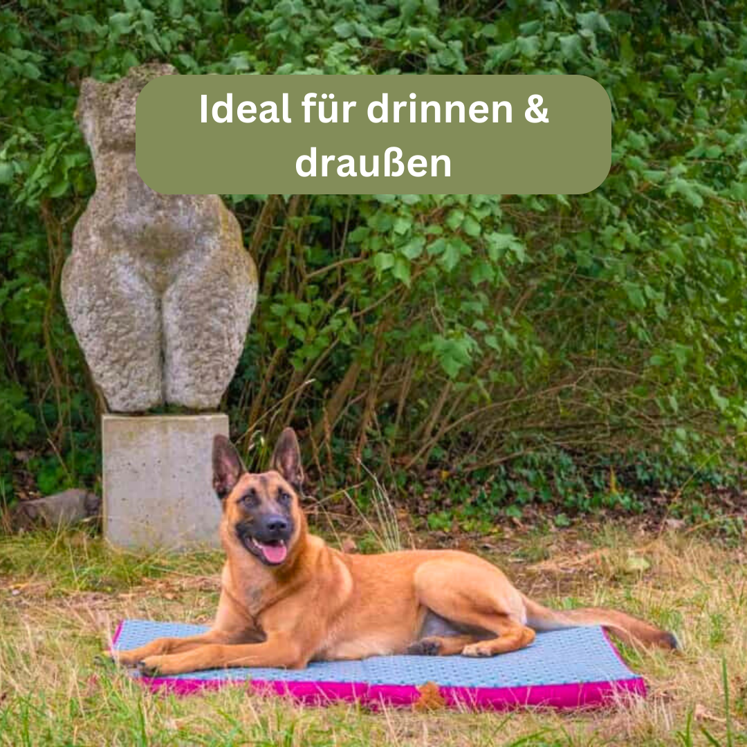 Bettenhaus Traumhund Orthopädische Hundematten Travel Kollektion Traveller-Matte Pink-Blau