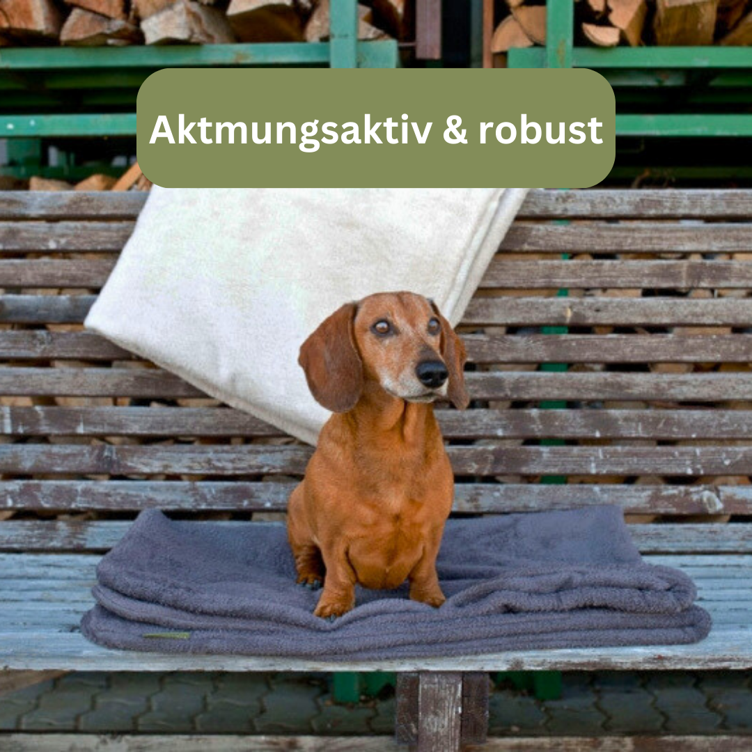 Bettenhaus Traumhund Traumhund Med Hundedecke Protect Anthrazit 1