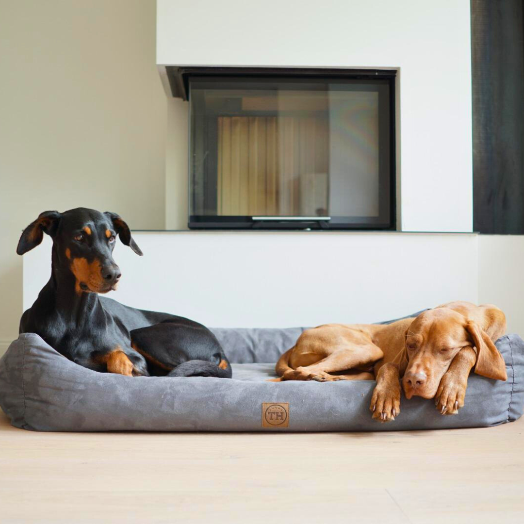 Orthopädische Hundebetten Traumhund Kategoriebild Classic