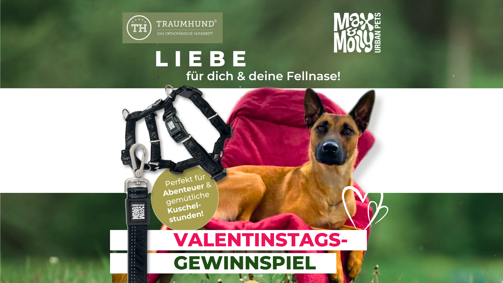 Bild für das Valentinstags-Gewinnspiel