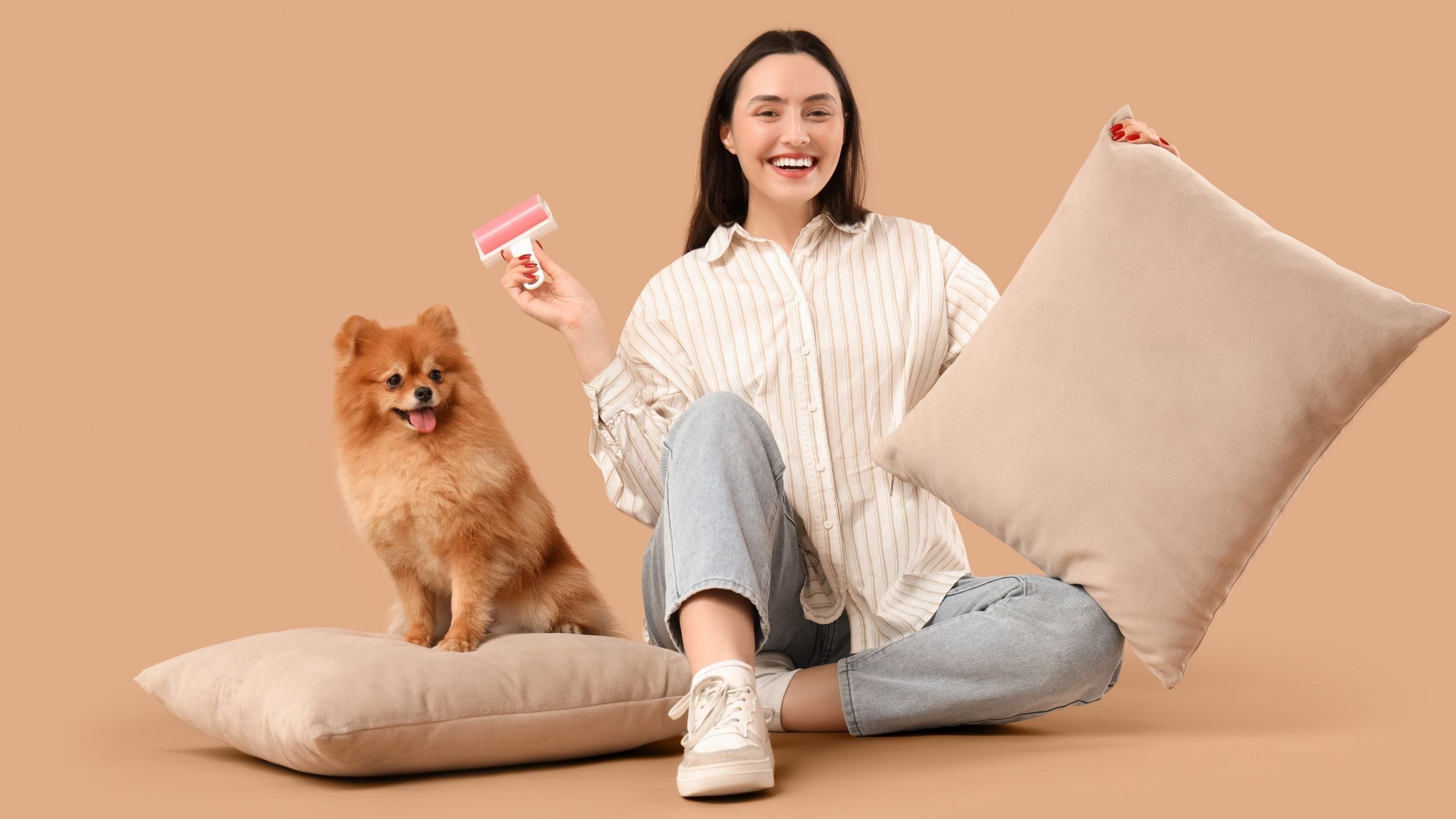 Hundekissen waschbar – darauf musst du achten