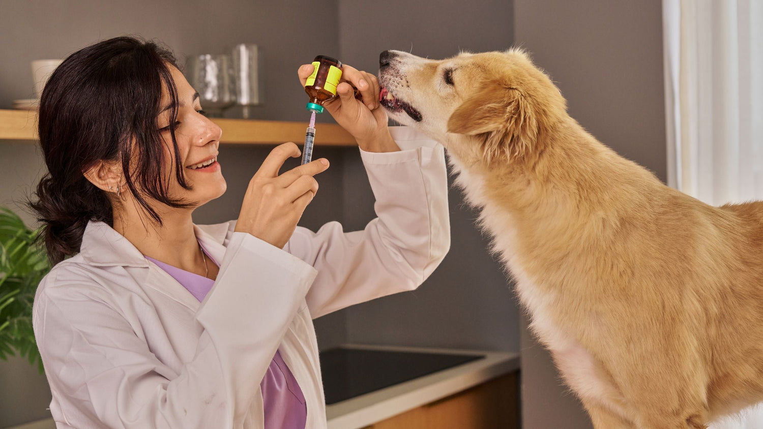 welche impfungen braucht ein hund