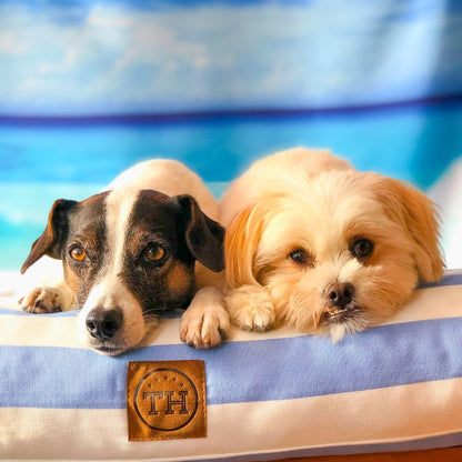Orthopädisches Hundekissen - Sylt