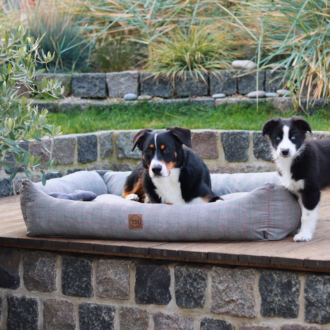 Orthopädisches Hundebett - Cottage