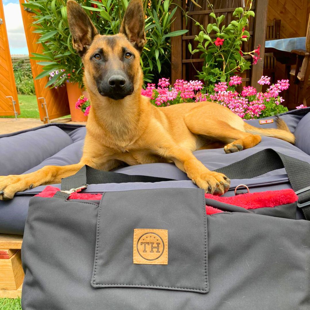 Outdoordecke &amp; Tasche (2 in 1)