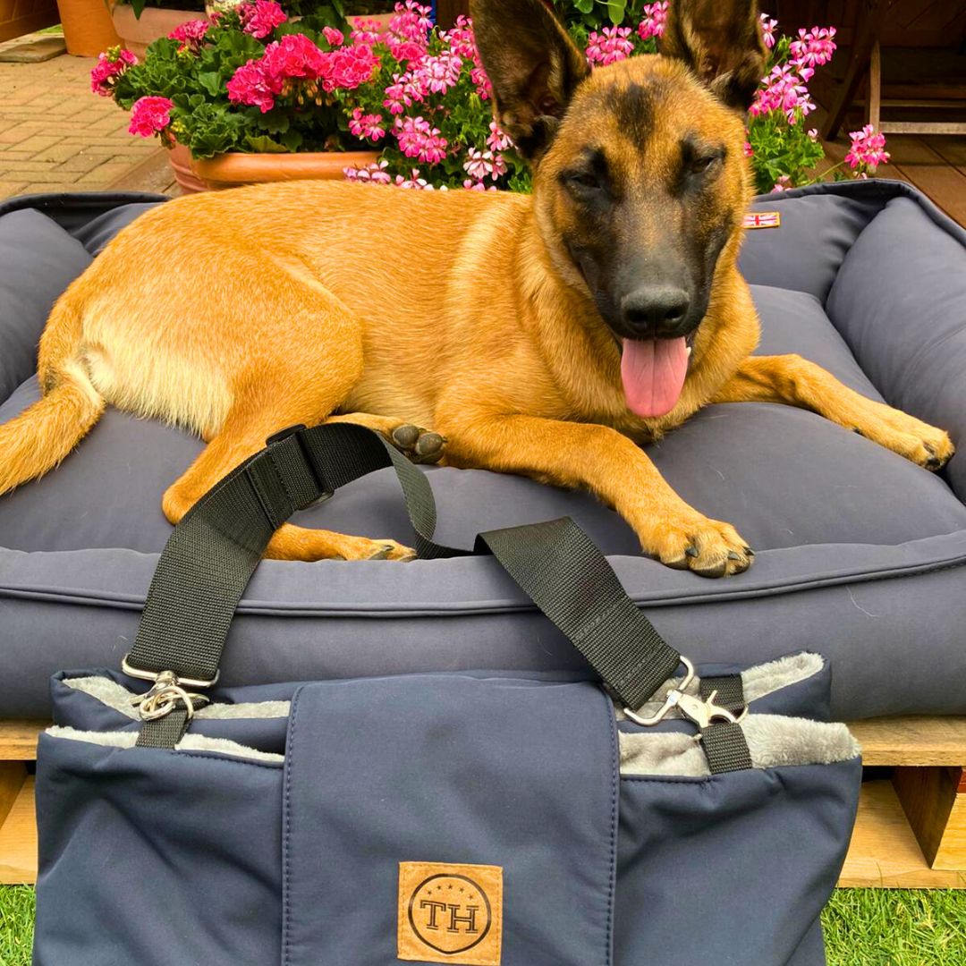 Outdoordecke &amp; Tasche (2 in 1)