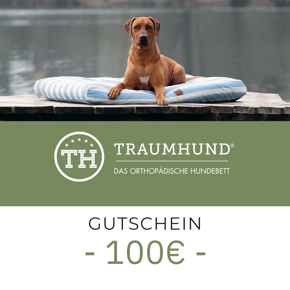 Bettenhaus Traumhund Gutschein 100 Euro