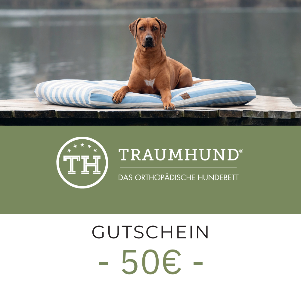 Bettenhaus Traumhund Gutschein 50 Euro