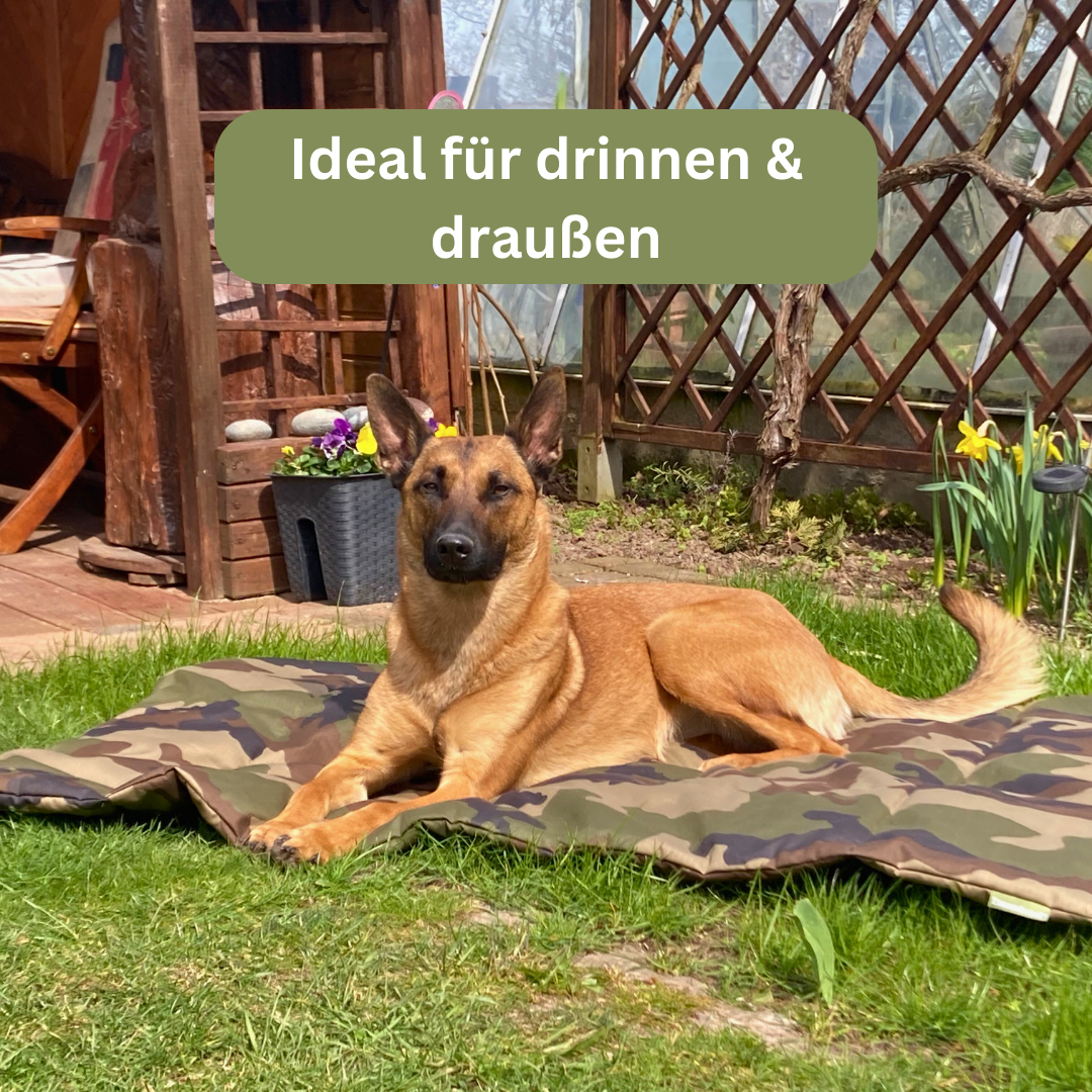 Bettenhaus Traumhund Hundedecken Adventure Produktbild