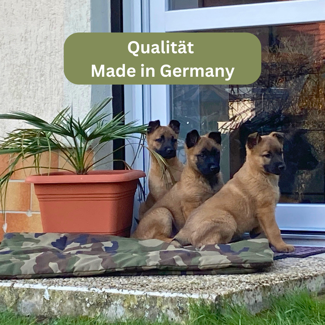 Bettenhaus Traumhund Hundedecken Adventure Produktbild
