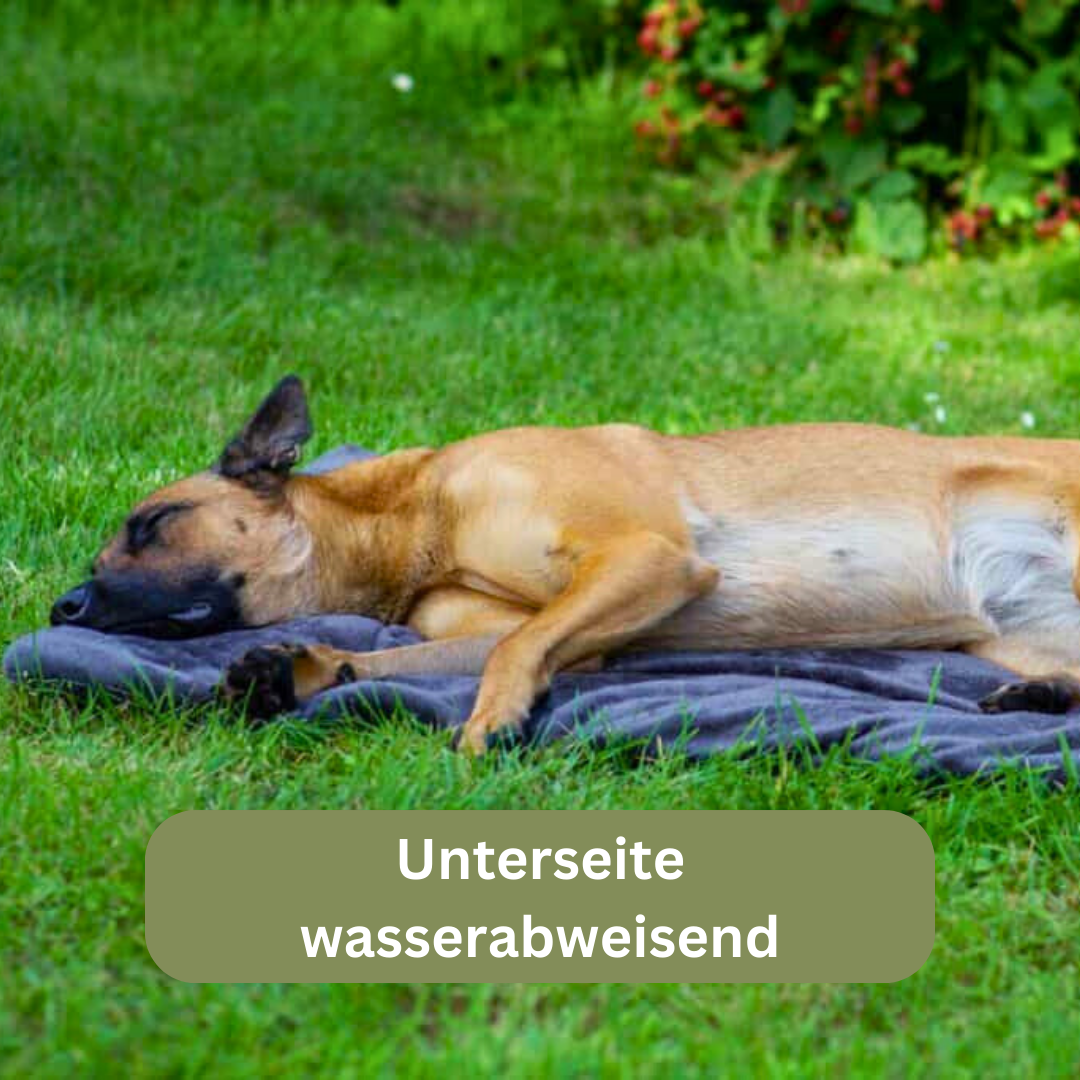 Bettenhaus Traumhund Hundedecken Adventure mit Kuschelfeeling Anthrazit 2