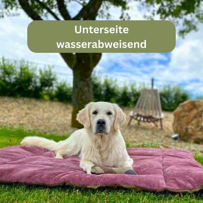 Bettenhaus Traumhund Hundedecken Adventure mit Kuschelfeeling Beere 2