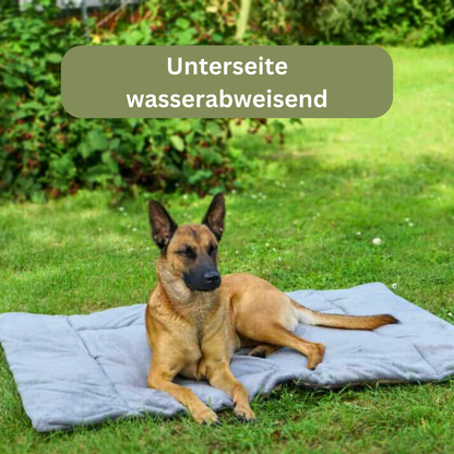 Bettenhaus Traumhund Hundedecken Adventure mit Kuschelfeeling Silbergrau 2