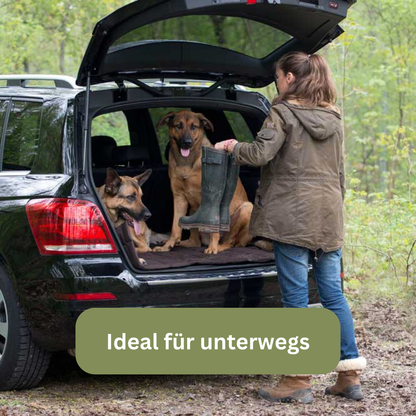 Bettenhaus Traumhund Hundedecken Sealand Brownie