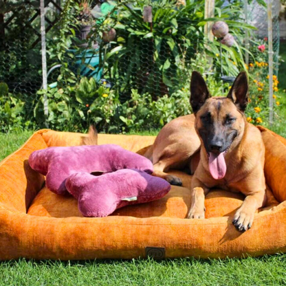 Bettenhaus Traumhund Kopfkissen für Vierbeiner Beere Bild mit Hund