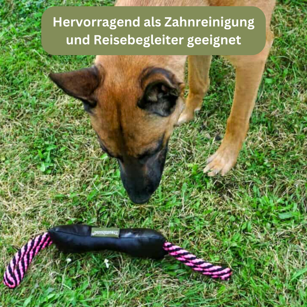 Bettenhaus Traumhund Kordelknochen Wildschwein Bild mit Hund 1