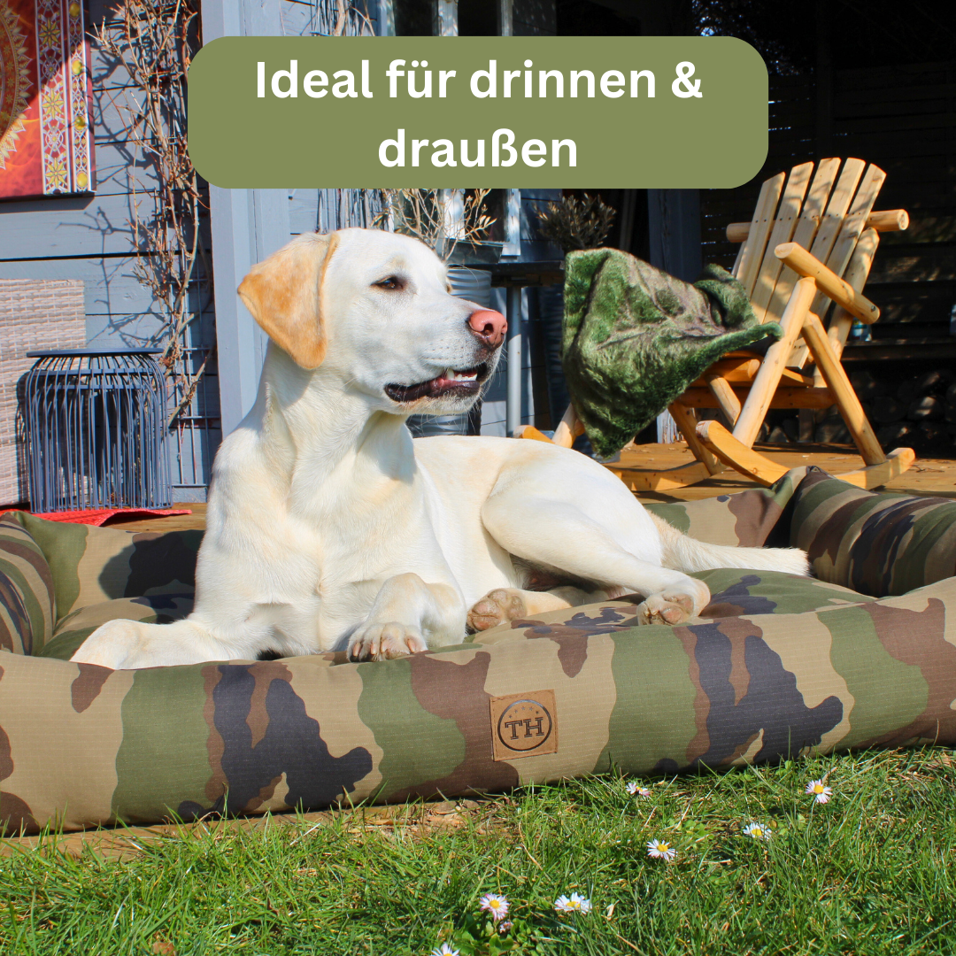 Bettenhaus Traumhund Orthopädisches Hundebett Adventure Produktbild 1
