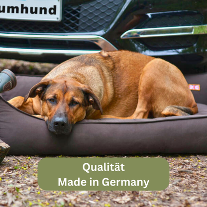 Bettenhaus Traumhund Orthopädisches Hundebett Sealand Brownie