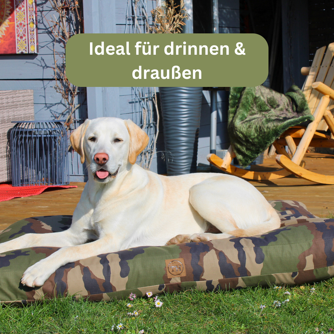 Bettenhaus Traumhund Orthopädisches Hundekissen Adventure Produktbild 1
