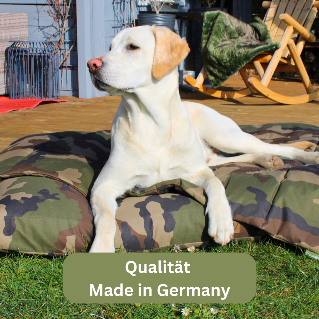 Bettenhaus Traumhund Orthopädisches Hundekissen Adventure Produktbild 2
