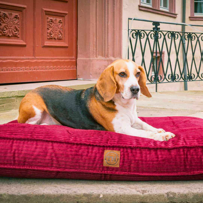 Bettenhaus Traumhund Orthopaedische Hundekissen Boheme-Bio-Kabelcord Bordeaux
