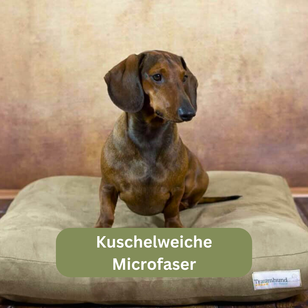 Bettenhaus Traumhund Orthopädisches Hundekissen Classic Creme