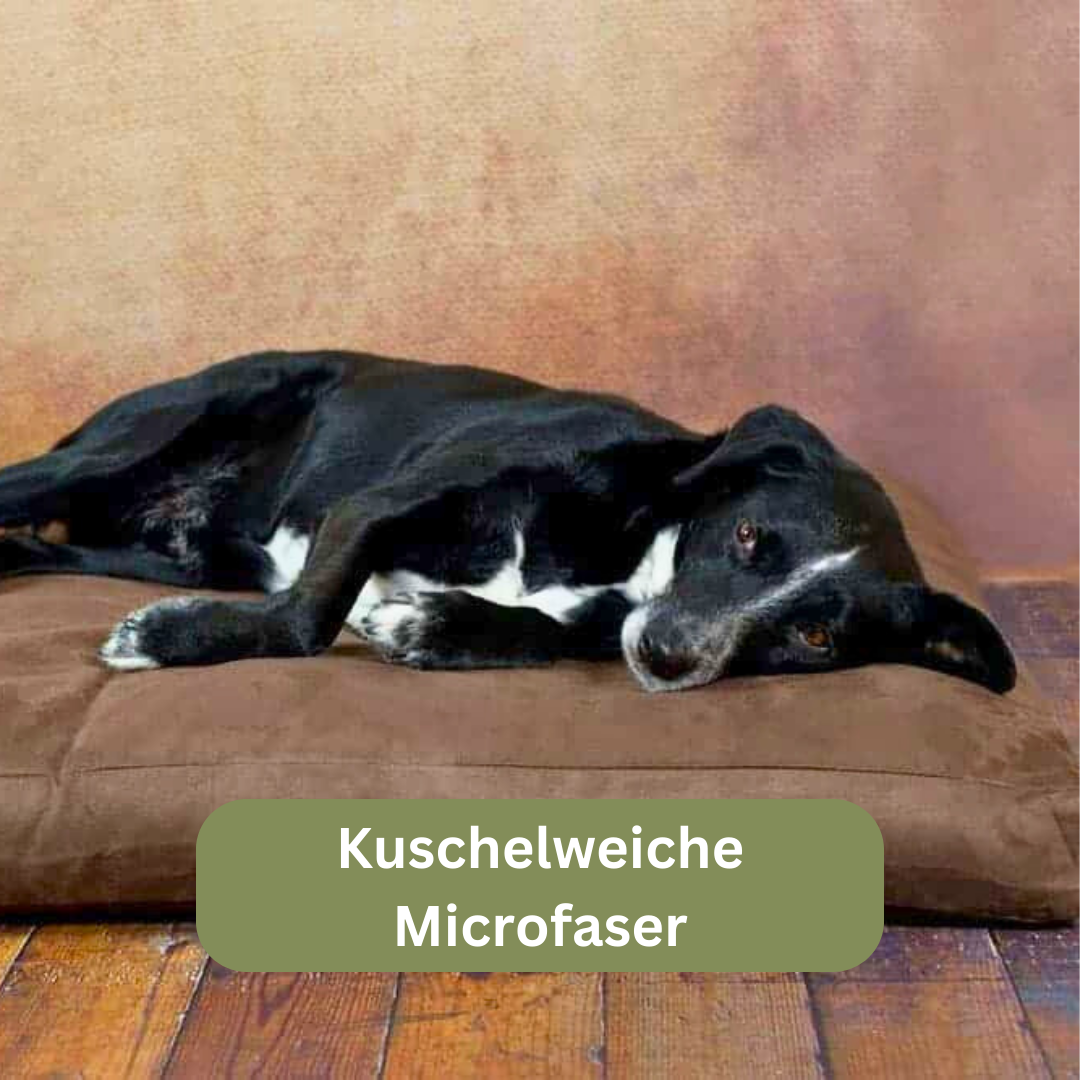 Bettenhaus Traumhund Orthopädisches Hundekissen Classic Mocca