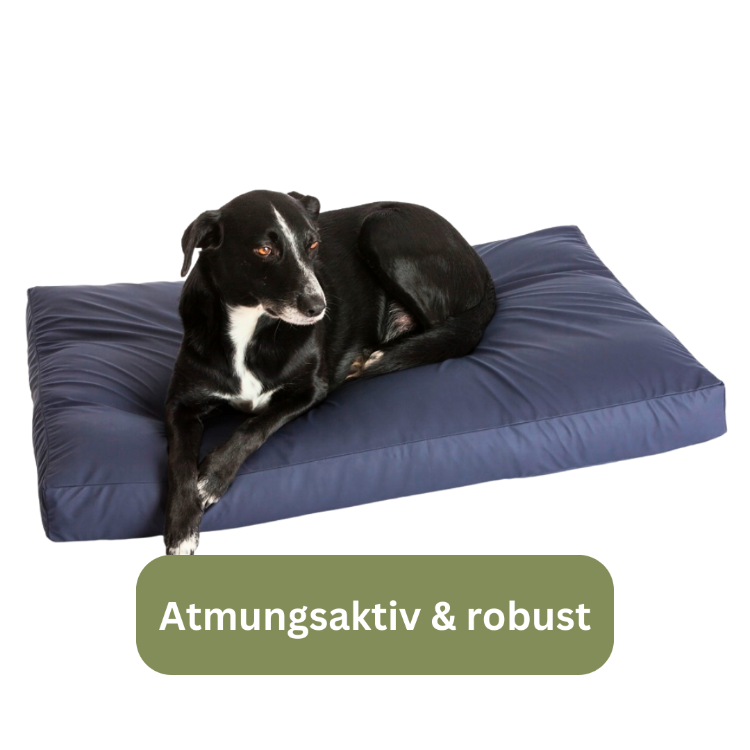 Bettenhaus Traumhund Orthopädisches Hundekissen Traumhund Med Inkontinenz