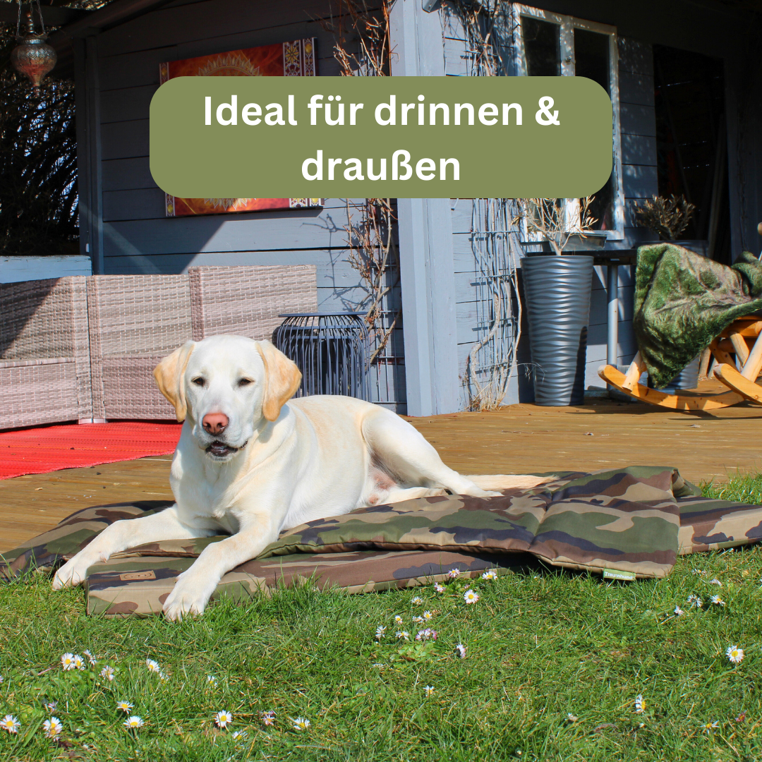 Bettenhaus Traumhund Orthopädische Hundematte Adventure Produktbild