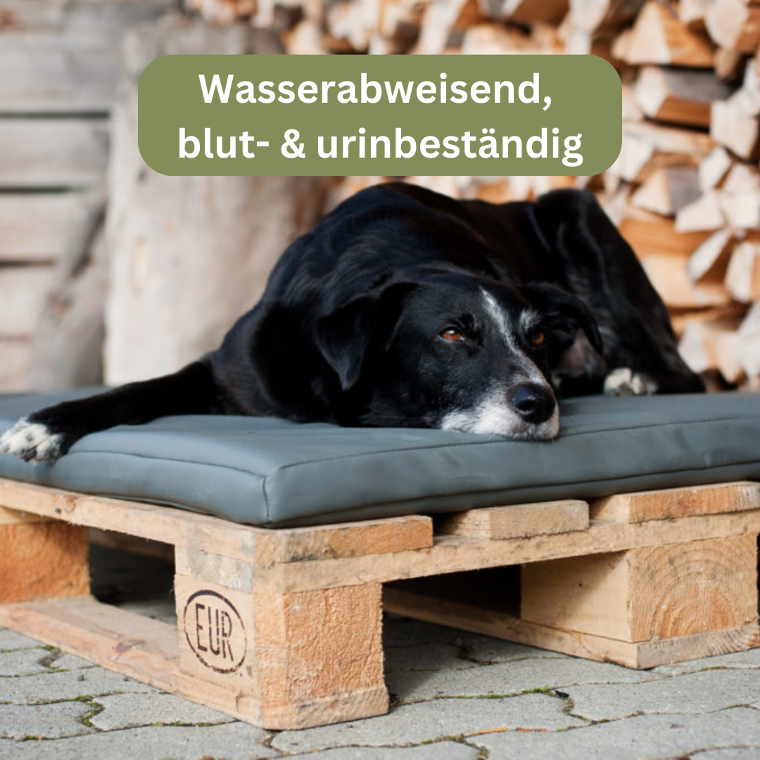 Bettenhaus Traumhund Orthopädische Hundematte Jagdlich Leder Graugans
