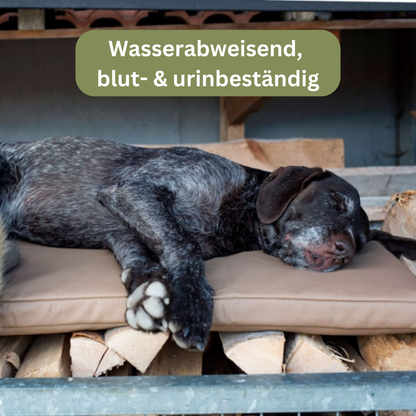 Bettenhaus Traumhund Orthopädische Hundematte Jagdlich Leder Murmeltier
