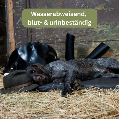 Bettenhaus Traumhund Orthopädische Hundematte Jagdlich Leder Wildschwein
