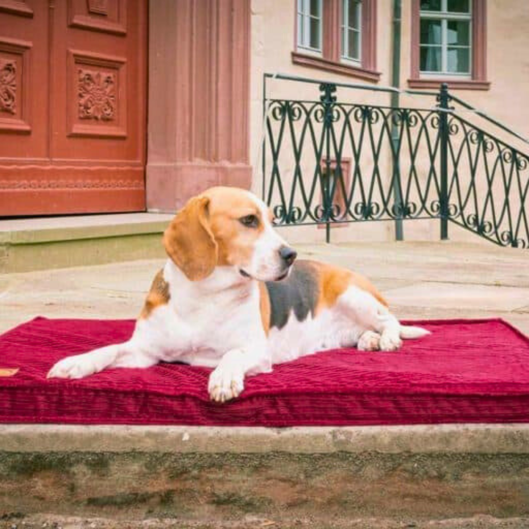 Bettenhaus Traumhund Orthopaedische Hundematten Boheme-Bio-Kabelcord Bordeaux