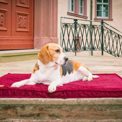 Bettenhaus Traumhund Orthopaedische Hundematten Boheme-Bio-Kabelcord Bordeaux