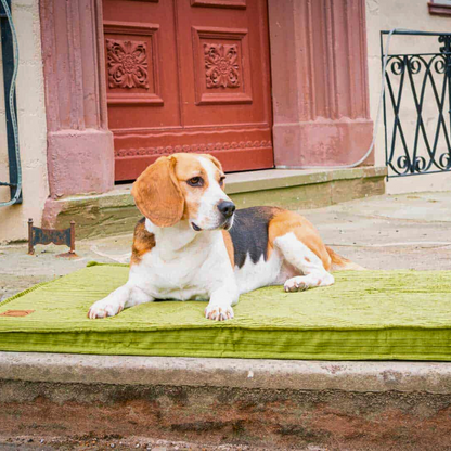 Bettenhaus Traumhund Orthopaedische Hundematten Boheme-Bio-Kabelcord Grasgrün