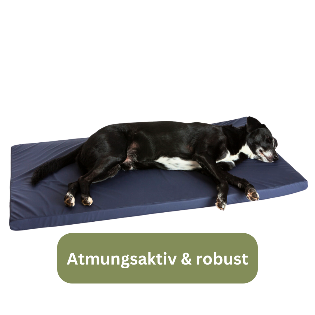 Bettenhaus Traumhund Orthopädische Hundematten Traumhund Med Inkontinenz