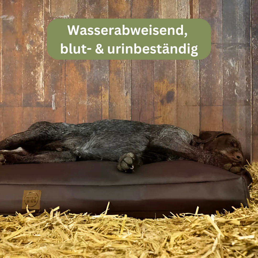 Bettenhaus Traumhund Orthopädisches Hundekissen Jagdlich Leder Wildschwein
