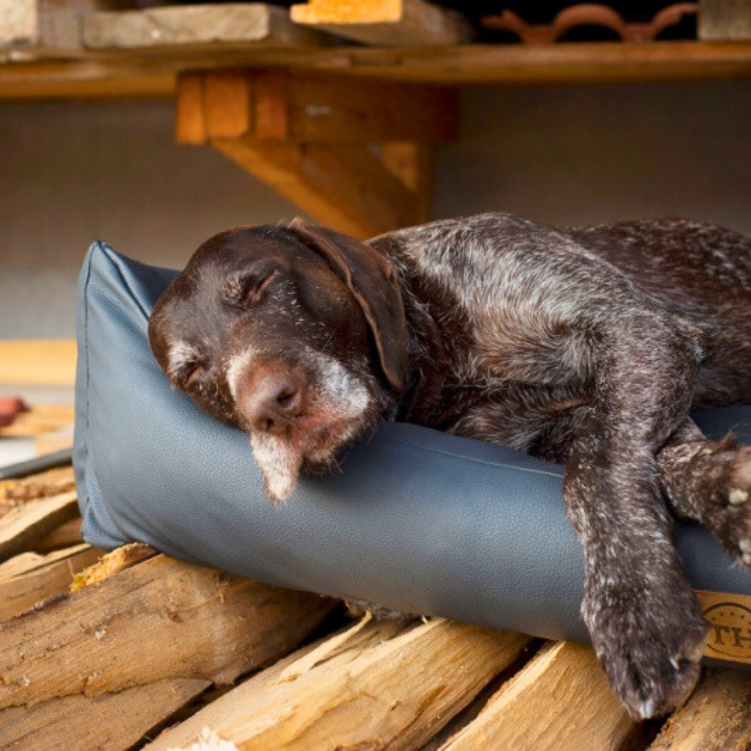 Orthopädische Hundebetten Traumhund Kategoriebild Jagdlich Leder
