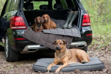 Orthopädisches Hundekissen Sealand von Traumhund