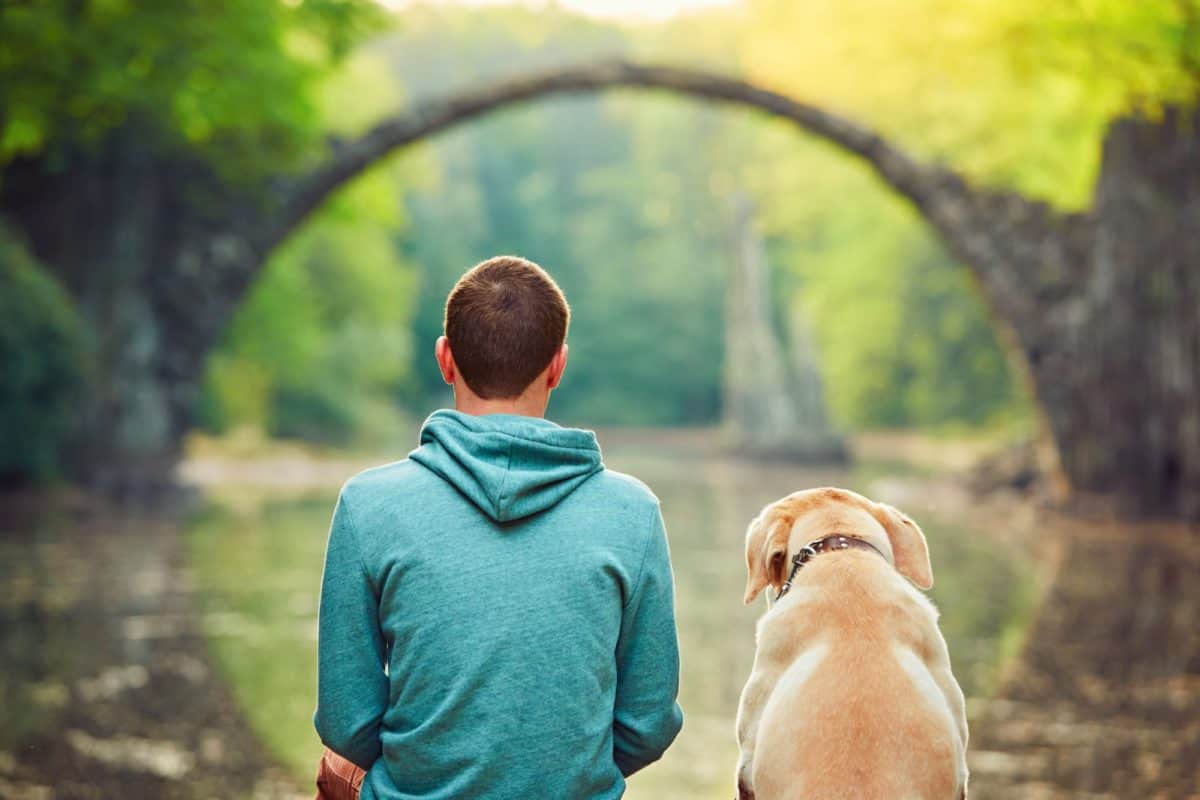 Gelenkerkrankungen Bettenhaus Traumhund