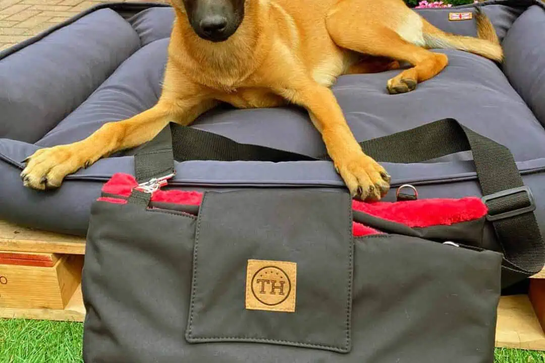 Traumhund® Picknick: Outdoordecke und Tasche Schwarz Rot vor Hundebett mit Malinois